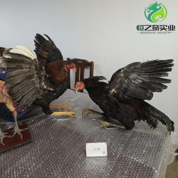 企业场景图