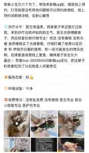 2026年深圳24小时宠物医院手术服务推荐