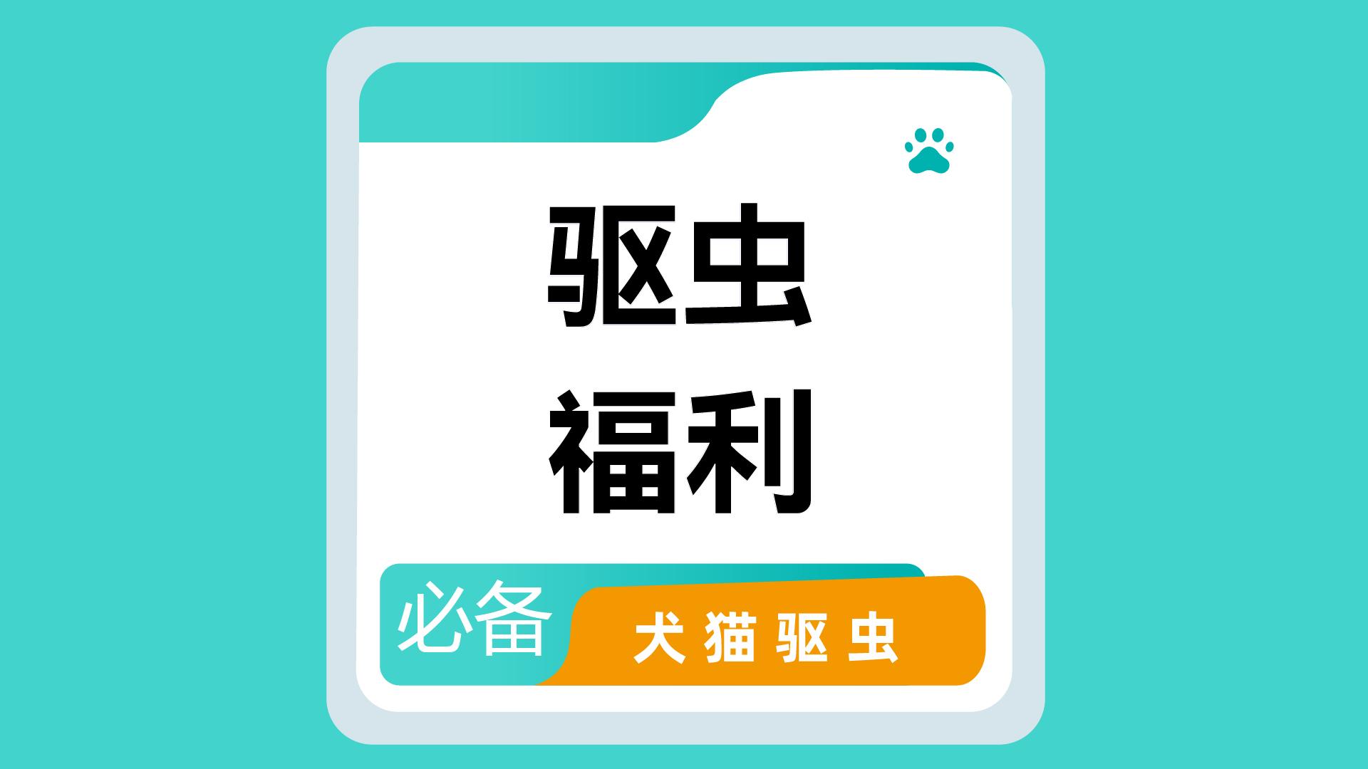 小雨滴宠物医院内部诊室