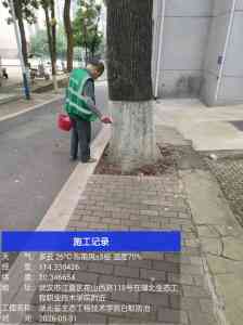 2026年下陆区白蚁防治公司专业服务解析