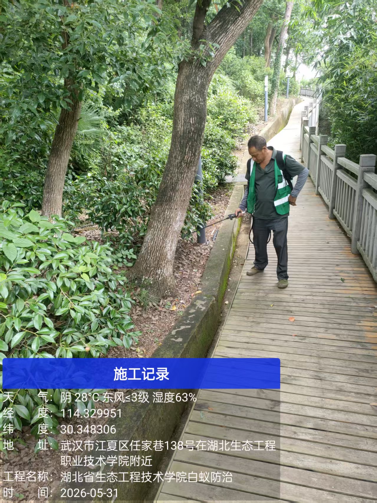 白蚁防治工具