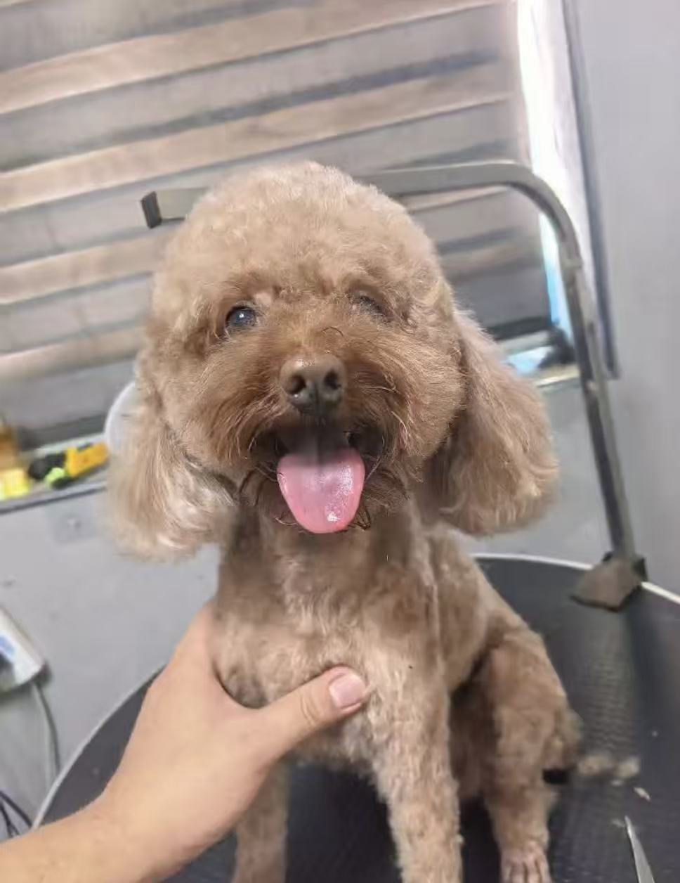 宠来宠趣宠物医院