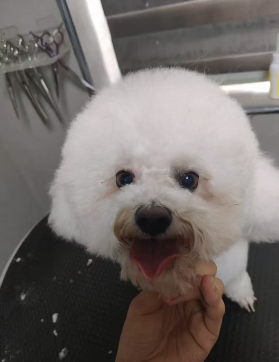 宠来宠趣宠物医院内部环境