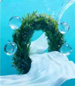 2026年可降解材料实力厂家解析:海纤生物海藻纤维技术领航