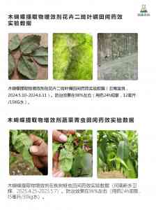 2026年果树杀螨剂代工厂家推荐：聚焦植物源增效技术，速效杀螨剂源头企业解析