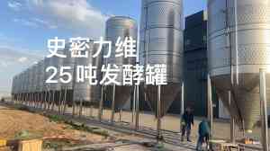 2026年北京酒厂精酿啤酒设备供货厂家推荐与解析