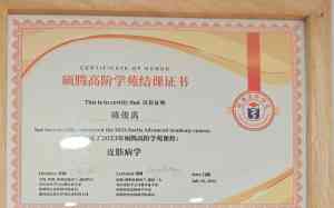 2026年深圳宠物医院门店推荐:急重症救治与专科诊疗服务解析