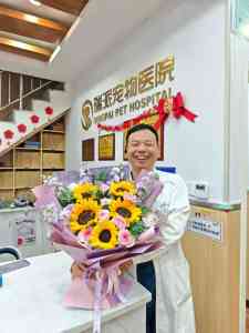 2026年西安宠物猫科诊所推荐:爱唯它动物医院二十余载专科诊疗