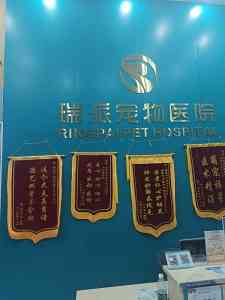 2026年东莞24小时宠物医院服务推荐：瑞派联萌宠物医院