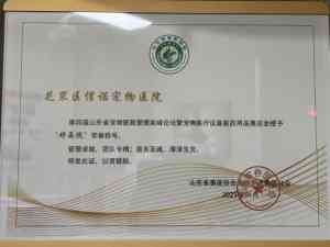2026年莱山区宠物治疗医院推荐:烟台信诺宠物医院