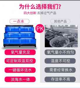 2026年过滤系统设计厂家推荐:芜湖一点水水族景观工程
