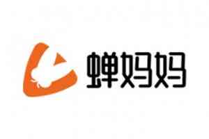 2026年北京品牌分析方案：数智化洞察与市场增长策略