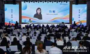 2026年青岛豆包排名平台优选指南