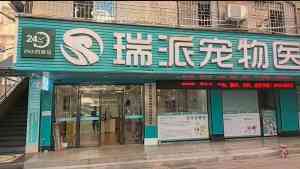 2026年深圳宠物医院品牌解析:瑞派佰佳专业诊疗与全周期服务