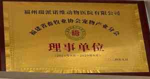2026年福州宠物牙科专科推荐:瑞派诺维动物医院技术解析