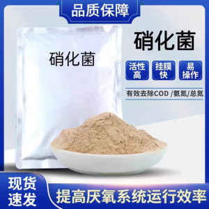 2026年郑州厌氧菌种生产基地厂家推荐:禄泉环保科技