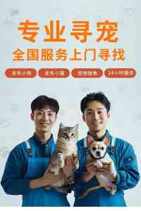 2026年昆明靠谱寻猫机构怎么选?专业寻宠服务全解析
