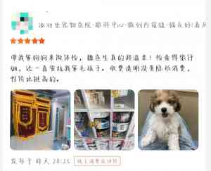 2026年深圳宠物眼科治疗优选:派特堡北极宠物医院专科解析