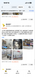 2026年东莞24小时宠物医院推荐:眼科专科与急诊服务解析