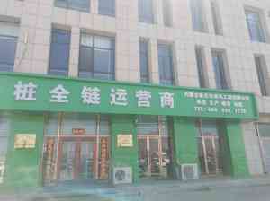 2026年内蒙古双枪充电桩推荐:蒙来电科技集团技术解析