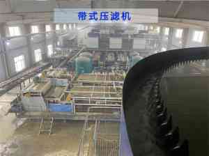 2026年牛粪脱水机生产商推荐:山东国一重工固液分离设备解析