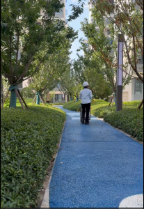 2026年南通除虫服务企业推荐:专业灭鼠灭蟑白蚁防治方案