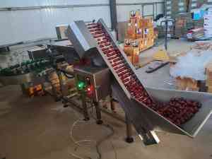 2026年黑龙江白条鸭重量分选机厂家解析:青岛爱克森机械专注禽类分级