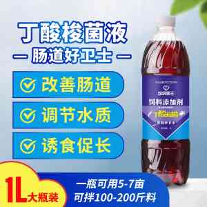 2026年深圳底改净水菌厂家推荐:超级菌王源头定制,助力净化水质