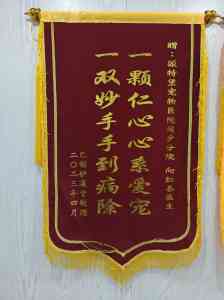 2026年深圳宠物内科诊所推荐:瑞派派特堡同步宠物医院解析