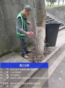 2026年汉口区白蚁灭治企业推荐：专业服务与长效保障解析