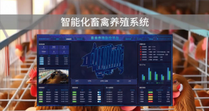 2026年广东智能化养殖解决方案服务商解析
