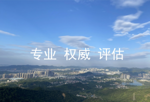 2026年内蒙古知识产权评估企业推荐