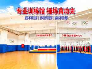 2026年河南文武专修学校咨询:登封市少林延鲁武术学校介绍
