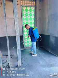 2026年南通商铺白蚁防治机构推荐:专业白蚁防治服务解析