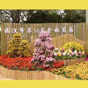 2026年辽宁菊花造型工厂推荐,菊花造型设计施工源头厂家解析