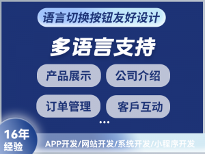 2026年衡水多语言网站建设方案服务解析