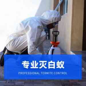 2026年福建彻底灭白蚁企业推荐,专业白蚁防治服务方案解析