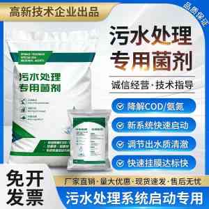 2026年好氧菌种厂家解析,巩义信合环保源头技术推荐