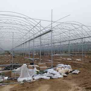 2026年日光温室厂家推荐:青州金辉温室,专业设计与建设服务解析