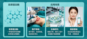 2026年D-木糖厂家推荐:山东唐正生物科技食品级原料解析