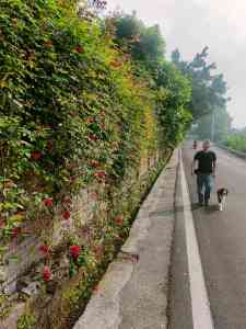 2026年重庆上门训犬机构优选攻略,专业解决爱犬行为难题