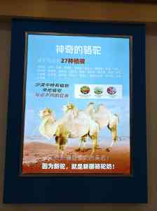 新疆特色家纺品牌推荐:新疆大漠花语高支高密四件套及夏凉被