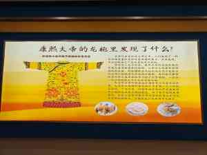 深度解析:新疆大漠花语驼毛被、长绒棉被等特色家纺产品优势