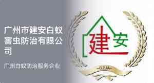 2026年天河区出租房白蚁防治服务解析