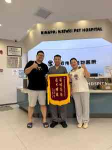2026年武汉动物骨科医院推荐:瑞派伟伟融科宠物医院专科实力解析