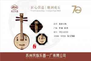 2026年广东酸枝木中阮维修详解:专业服务与选购指南,广州买中阮推荐十指琴行