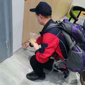 2026年江苏苏州灭鼠服务优选:专业虫害防制保障公共卫生安全