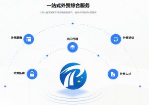 2026年泉州跨境电商出口代理服务解析