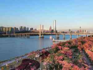 2026年广东横琴创业补贴政策平台推荐:全链条服务助力琴澳创业者启航
