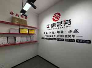 2026年高新区代理记账平台代理商解析,专业化财税服务助力企业稳健发展
